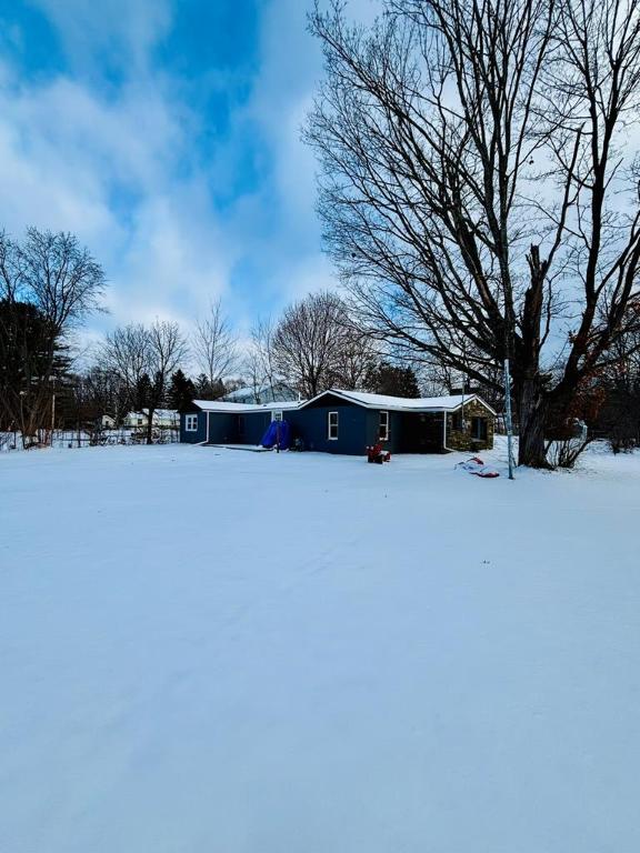 view of yard layered in snow