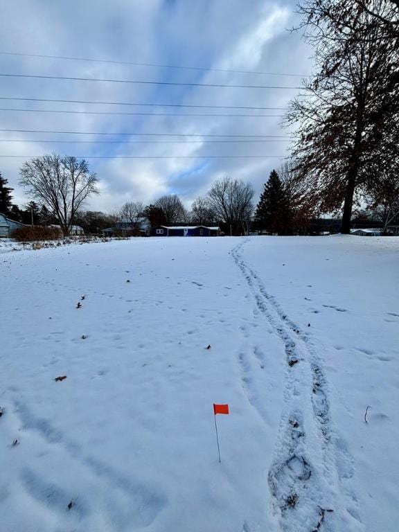 view of yard covered in snow