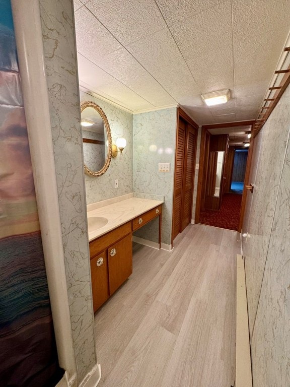 bathroom with wood-type flooring and vanity