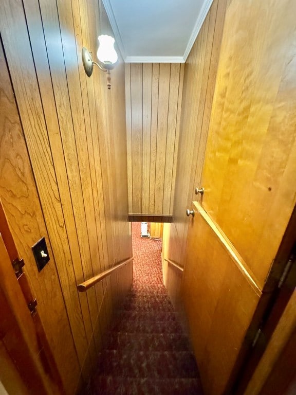 stairway featuring wooden walls and crown molding