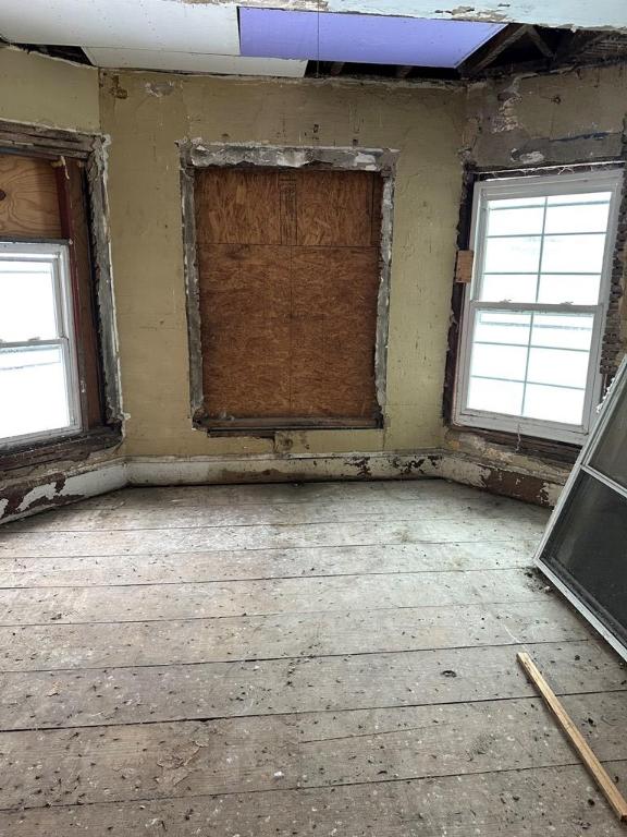 interior space featuring wood-type flooring and a healthy amount of sunlight