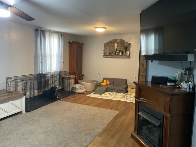 living room with wood-type flooring and ceiling fan