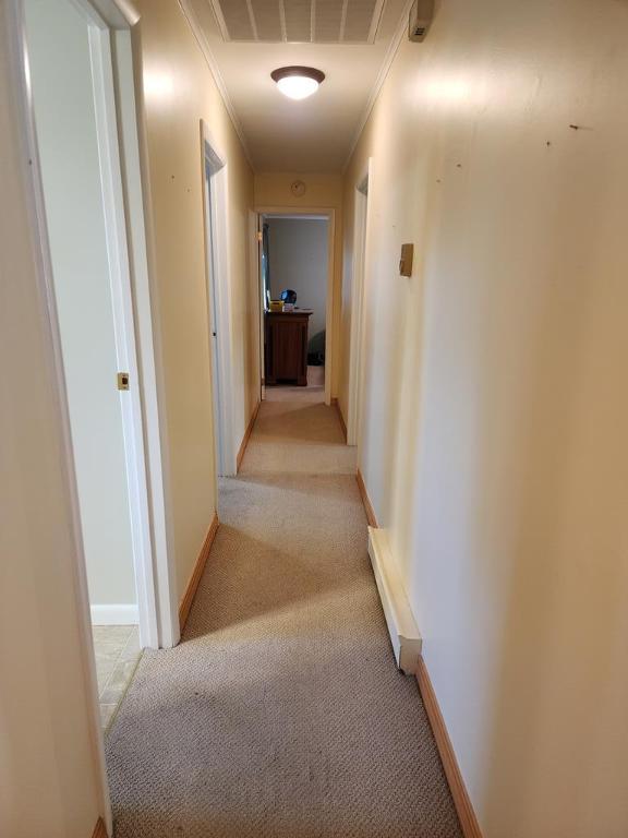 hallway featuring ornamental molding and light colored carpet