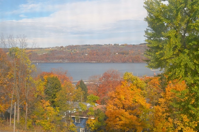 view of water feature with a wooded view