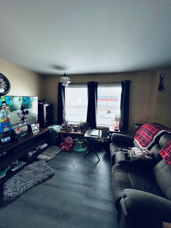 living area featuring wood finished floors