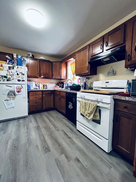 kitchen featuring white appliances, light wood-type flooring, under cabinet range hood, and a sink