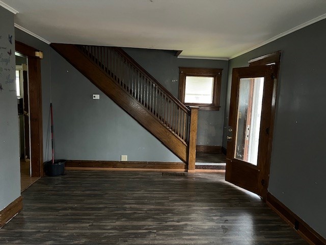 interior space featuring dark wood-type flooring and crown molding