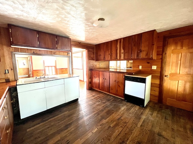 kitchen with dark hardwood / wood-style floors, sink, a textured ceiling, and white dishwasher