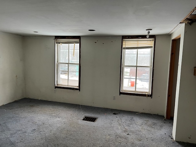 unfurnished room featuring light carpet and a wealth of natural light