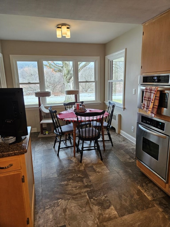 dining area featuring radiator and plenty of natural light