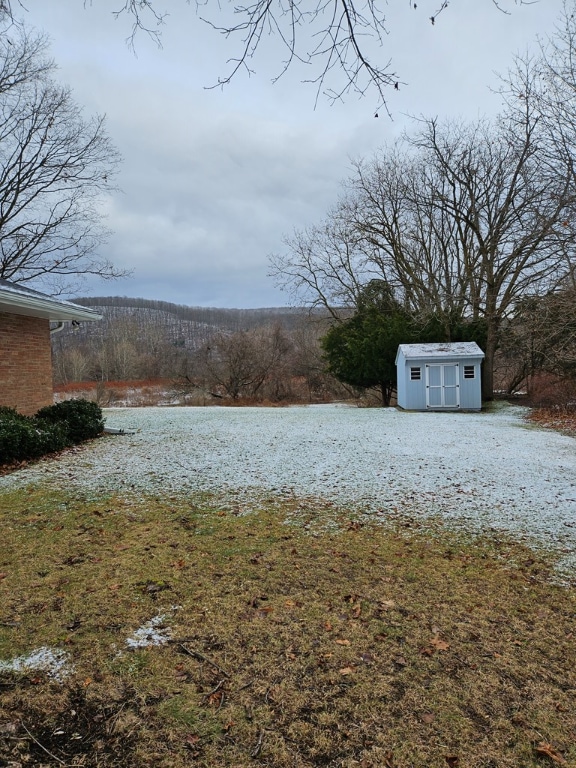 view of yard featuring a storage unit