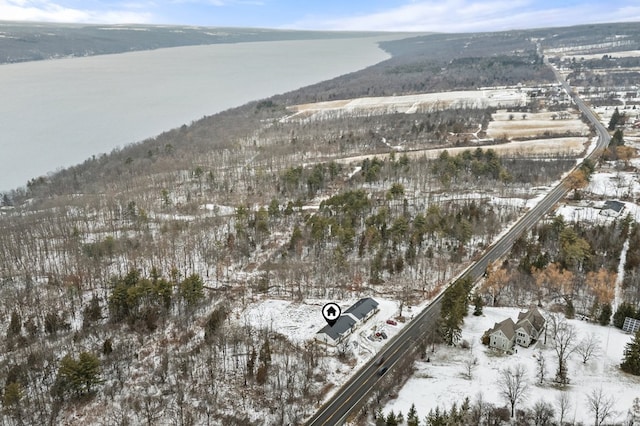 snowy aerial view with a mountain view