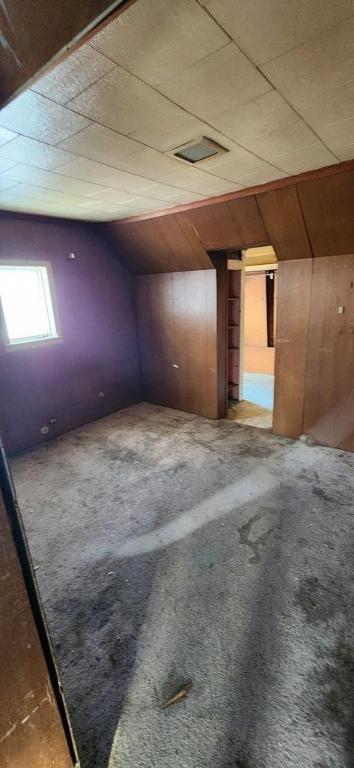 additional living space with vaulted ceiling, carpet floors, and wood walls