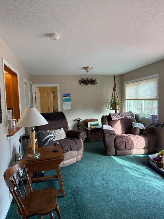 carpeted living room with a textured ceiling