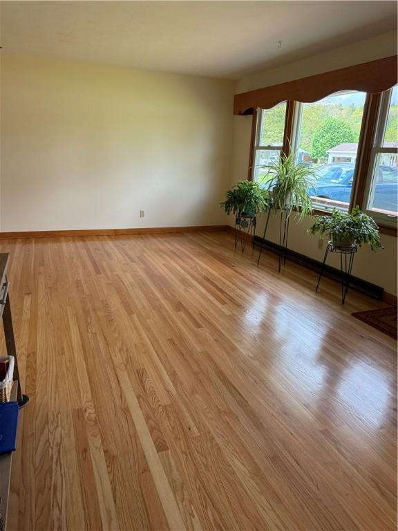 175 Beartown Rd, Erwin, NY 14870 - unfurnished room with light wood-style flooring and baseboards