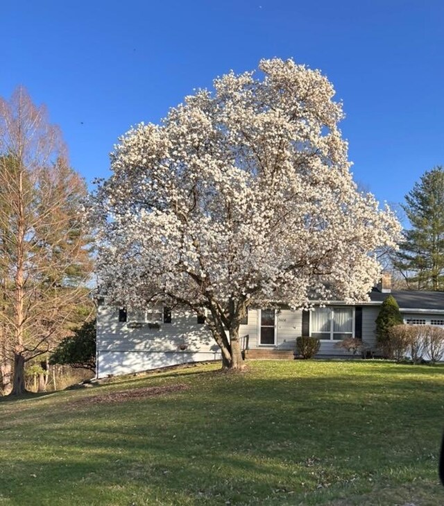 exterior space with a front yard