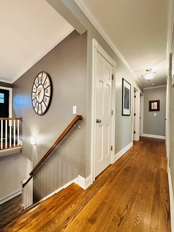 hall featuring crown molding and wood-type flooring