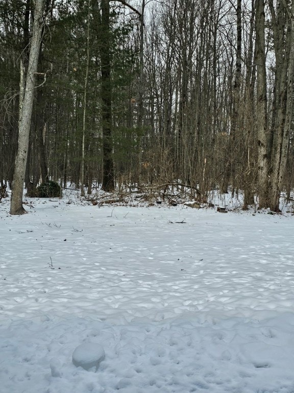 view of snow covered land