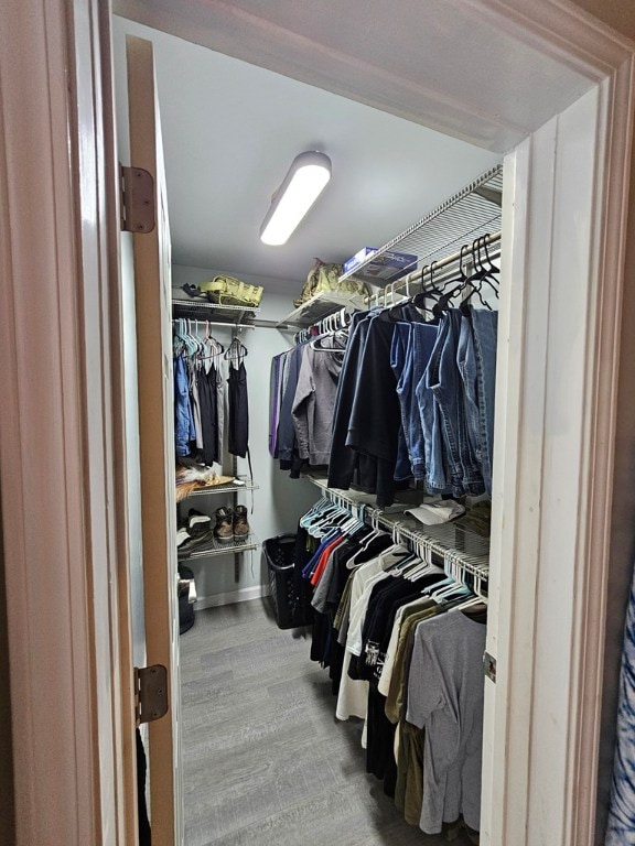 spacious closet featuring hardwood / wood-style floors