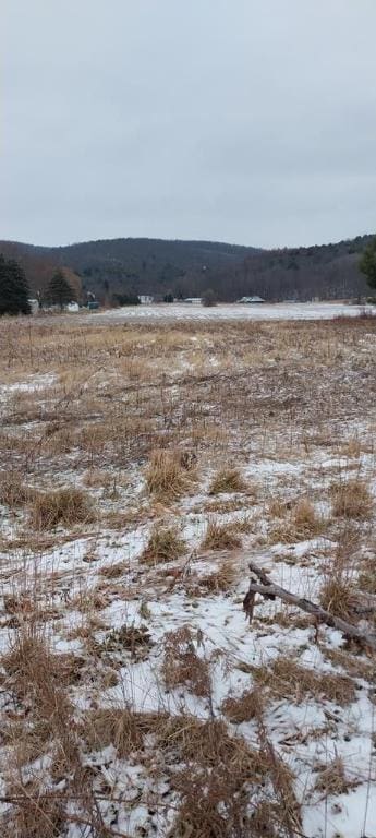 Address Not Disclosed, Campbell NY, 14821 land for sale