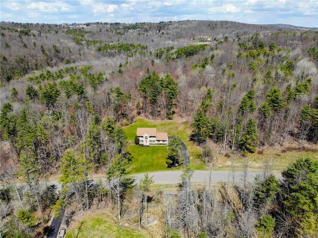 11827 Lando Ln, Corning, NY 14830 - view from above of property featuring a forest