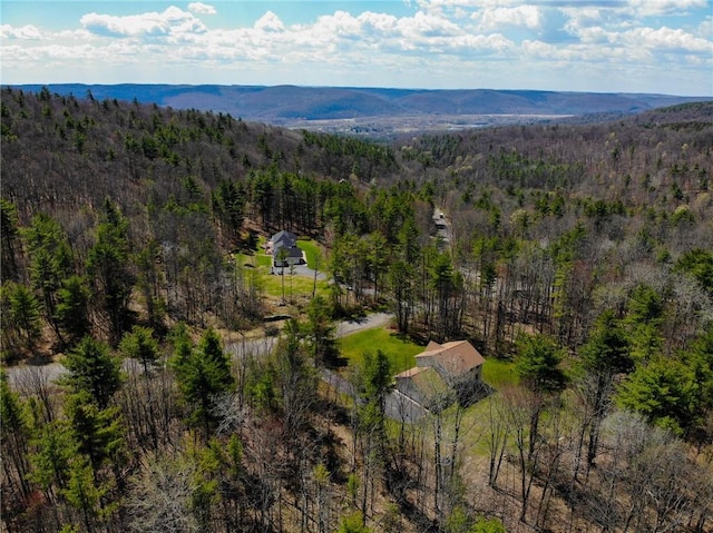 11827 Lando Ln, Corning, NY 14830 - aerial view of a heavily wooded area