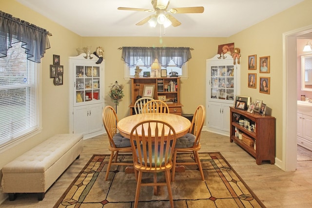 dining area with ceiling fan and light hardwood / wood-style flooring