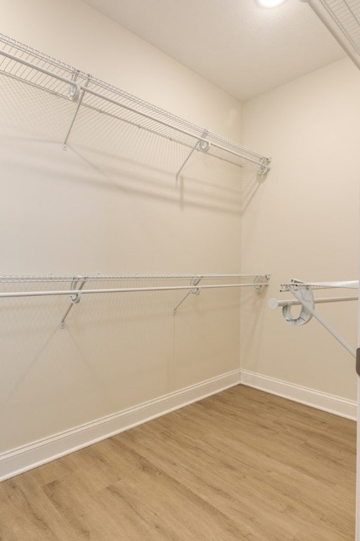 walk in closet featuring wood-type flooring