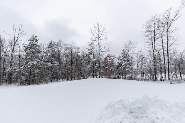 view of yard covered in snow