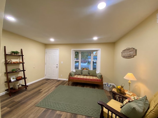 living room featuring dark hardwood / wood-style floors