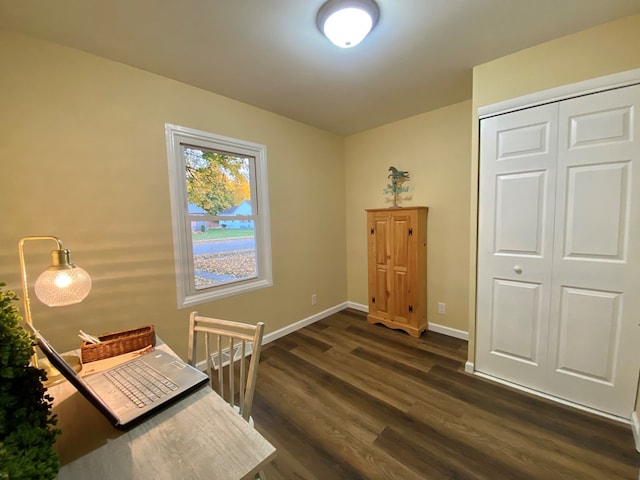 office featuring dark hardwood / wood-style flooring