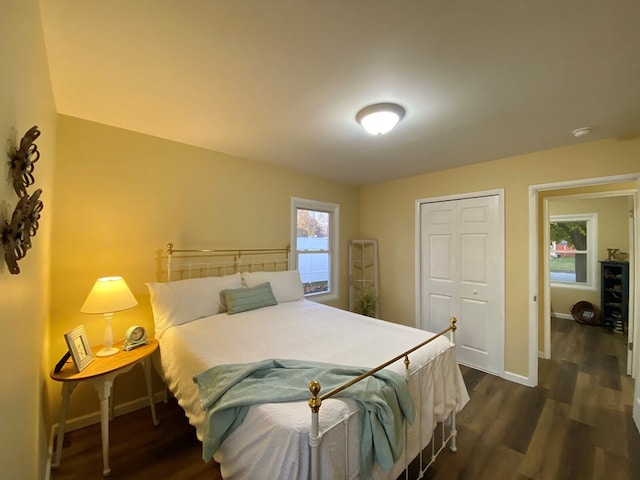 bedroom featuring dark hardwood / wood-style flooring, multiple windows, and a closet