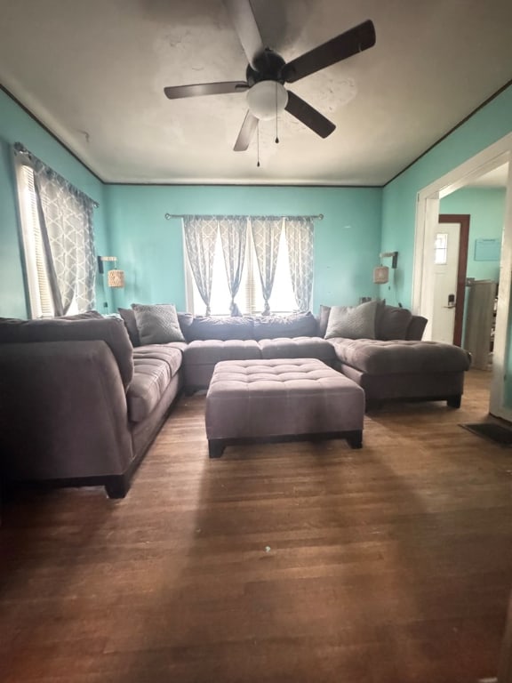 living room with ceiling fan and dark hardwood / wood-style flooring