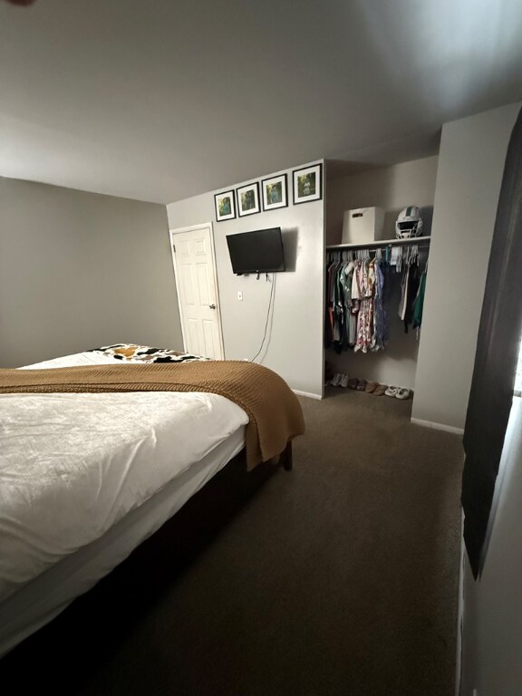 bedroom featuring carpet and a closet