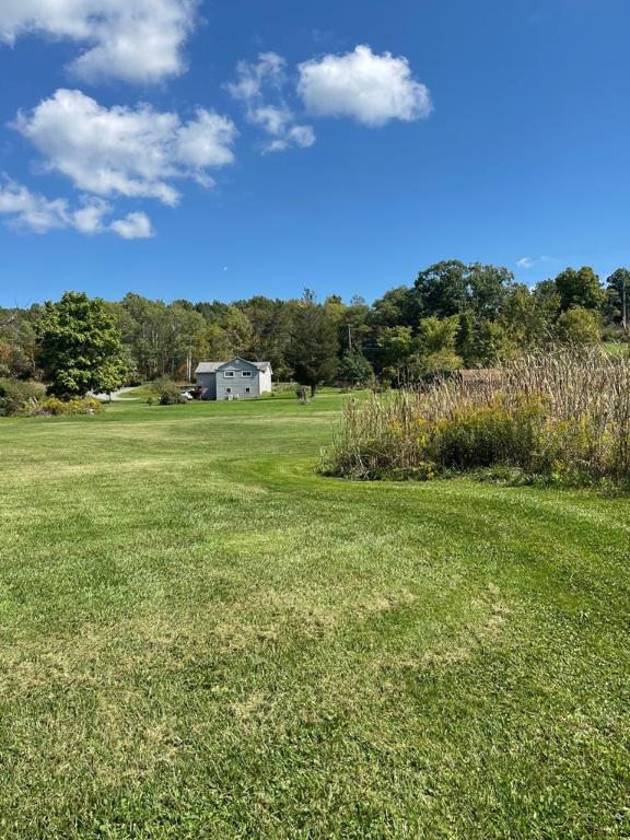 72 Hickory Grove Rd, Horseheads, NY 14845 - view of grassy yard