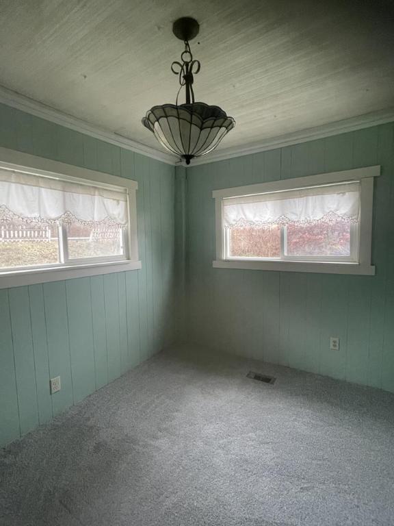 72 Hickory Grove Rd, Horseheads, NY 14845 - carpeted empty room with plenty of natural light, ornamental molding, and wooden walls