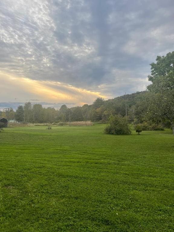 view of yard at dusk