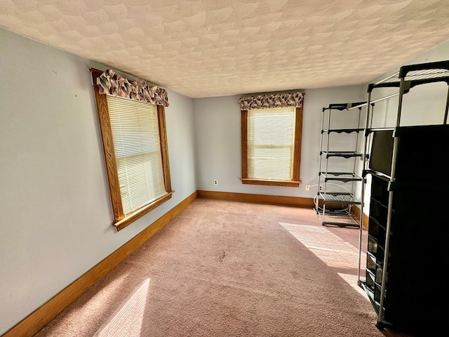 interior space featuring light colored carpet and a textured ceiling