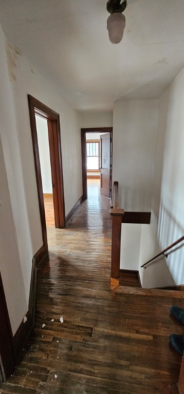 corridor with dark hardwood / wood-style flooring