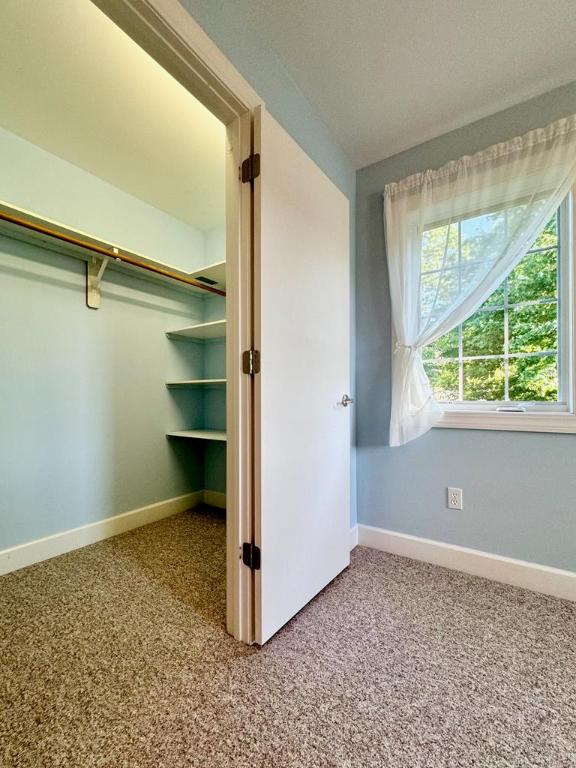 interior space with carpet floors