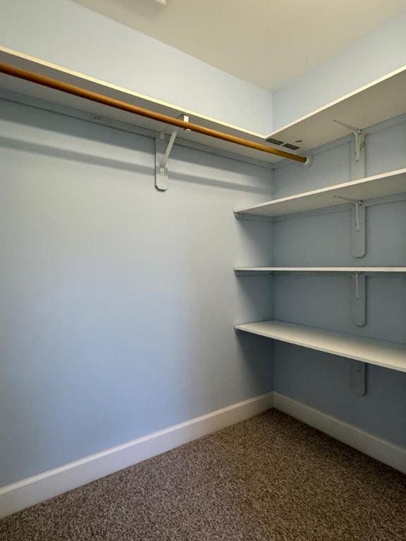 spacious closet featuring carpet flooring