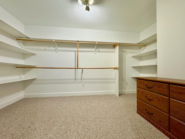 walk in closet with light carpet