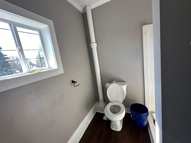 bathroom with wood-type flooring and toilet