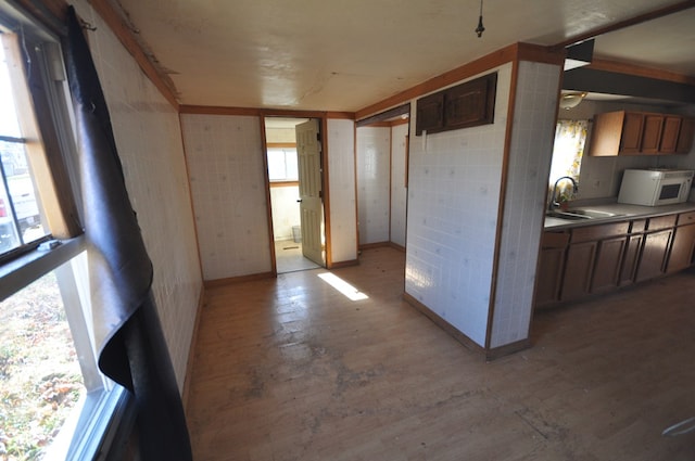 kitchen featuring sink, a healthy amount of sunlight, and light wood-type flooring