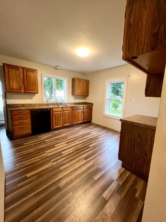 kitchen featuring dark hardwood / wood-style flooring, sink, and dishwasher