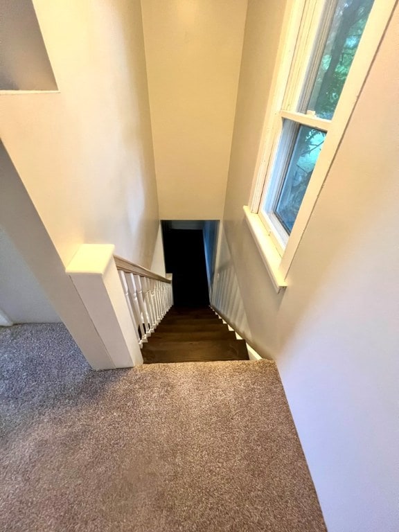 staircase with carpet