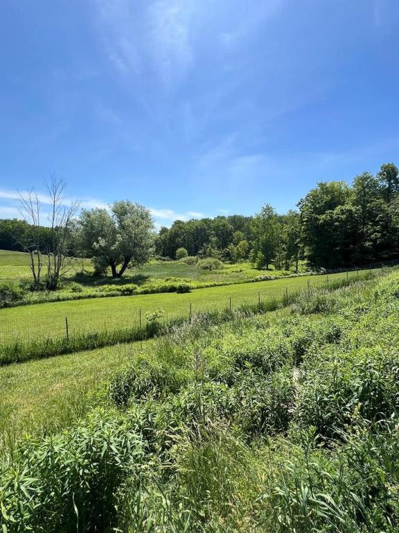 view of landscape featuring a rural view