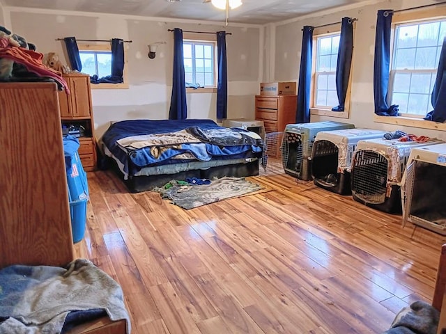 bedroom with multiple windows and light hardwood / wood-style flooring