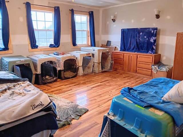 bedroom featuring hardwood / wood-style flooring