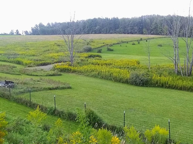 view of yard with a rural view